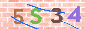 CAPTCHA 驗證圖片