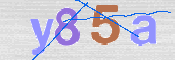 CAPTCHA 驗證圖片