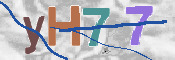 CAPTCHA 驗證圖片