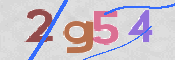 CAPTCHA 驗證圖片