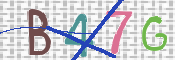 CAPTCHA 驗證圖片