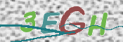 CAPTCHA 驗證圖片