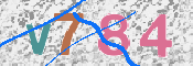 CAPTCHA 驗證圖片
