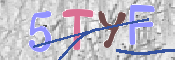 CAPTCHA 驗證圖片