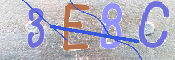 CAPTCHA 驗證圖片
