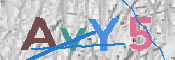 CAPTCHA 驗證圖片