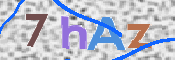 CAPTCHA 驗證圖片