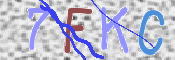 CAPTCHA 驗證圖片