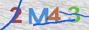 CAPTCHA 驗證圖片