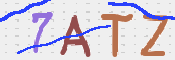 CAPTCHA 驗證圖片