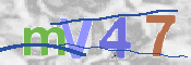CAPTCHA 驗證圖片