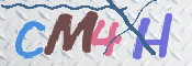CAPTCHA 驗證圖片