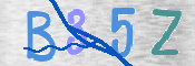 CAPTCHA 驗證圖片