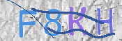 CAPTCHA 驗證圖片