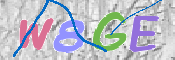 CAPTCHA 驗證圖片