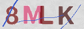 CAPTCHA 驗證圖片