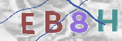 CAPTCHA 驗證圖片