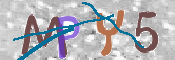 CAPTCHA 驗證圖片