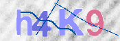 CAPTCHA 驗證圖片