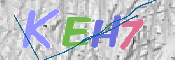 CAPTCHA 驗證圖片