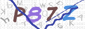 CAPTCHA 驗證圖片