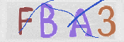 CAPTCHA 驗證圖片