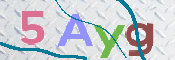 CAPTCHA 驗證圖片