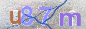 CAPTCHA 驗證圖片