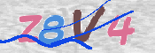CAPTCHA 驗證圖片