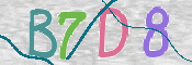 CAPTCHA 驗證圖片