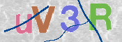 CAPTCHA 驗證圖片