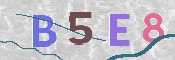 CAPTCHA 驗證圖片