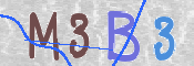 CAPTCHA 驗證圖片