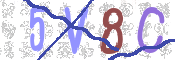 CAPTCHA 驗證圖片