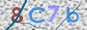 CAPTCHA 驗證圖片