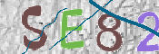 CAPTCHA 驗證圖片