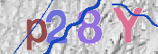 CAPTCHA 驗證圖片
