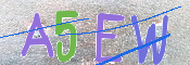 CAPTCHA 驗證圖片