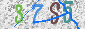 CAPTCHA 驗證圖片
