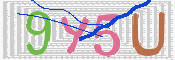CAPTCHA 驗證圖片
