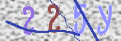 CAPTCHA 驗證圖片