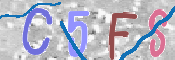 CAPTCHA 驗證圖片