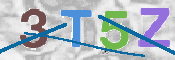 CAPTCHA 驗證圖片