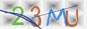 CAPTCHA 驗證圖片