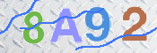 CAPTCHA 驗證圖片