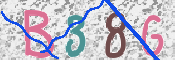 CAPTCHA 驗證圖片