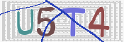 CAPTCHA 驗證圖片