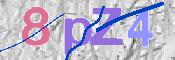CAPTCHA 驗證圖片