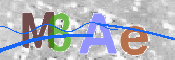 CAPTCHA 驗證圖片