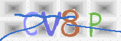 CAPTCHA 驗證圖片